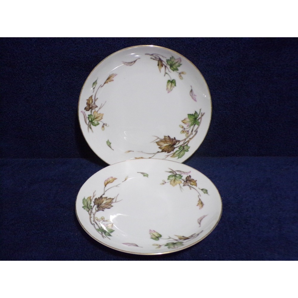 Wentworth China Autumn Pattern Set of 2 Salad or Soup Bowls  #7516 Vintage